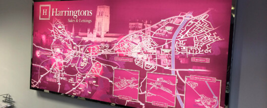 Estate Agent Light Box