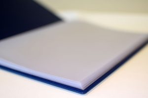 Plastic Record of Achievement File 4